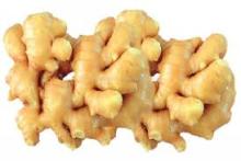 fresh mature ginger