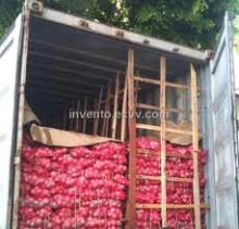 fresh red/yellow onion