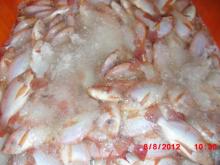 Frozen red tilapia whole round