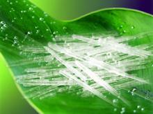  menthol  crystal