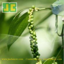 High Quality Piperine 98% Black  Pepper   Extract  Powder