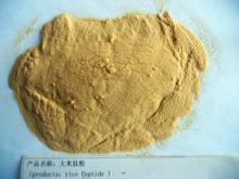 rice protein peptide