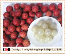 Chinese Canned Lychee Fruit