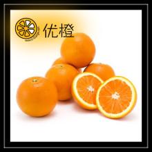 Fresh  Chinese   Orange 