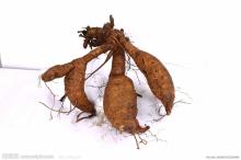 Kudzuvine Root P.E.