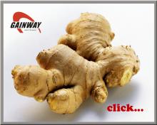 Ginger extract