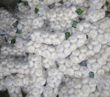 1kg bag x10 in 10kg carton