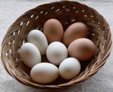 Brown Chicken Eggs