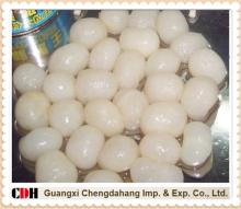 Canned Longan
