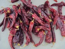 Dried Sweet Paprika