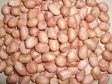 PEANUT
