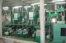 Wheat flour milling line
