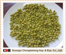 2012 Canned Green Peas
