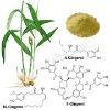 Ginger extract