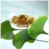 Ginkgo biloba extract