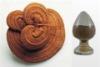 Ganoderma extract