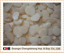 Water Chestnut