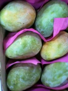 Fresh sweet Mango
