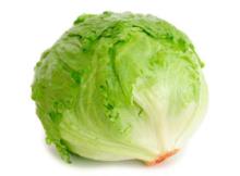  Fresh   Lettuce 