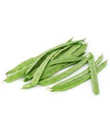 Fresh  Bean