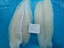  Frozen   Pangasius   Fillet 