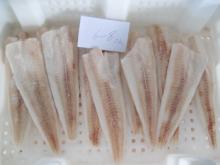 Alaska Pollock/  APO  fillet