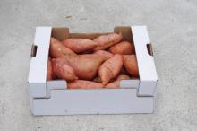 Sweet Potato