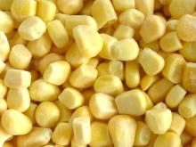 Frozen sweet corn ( IQF   products )