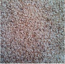 Natural White Sesame seeds