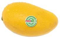 Fresh Mango