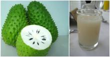  Soursop   Puree 