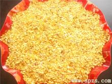 Chilli Seeds