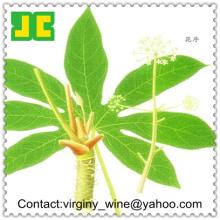 100%Natural Brassaiopsis glomerulata Extract,no additive
