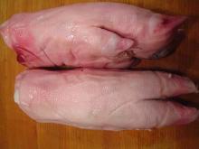 trotters