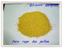 bee pollen with cheapest price and high quality