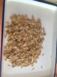  canned  mushroom pieces in tin