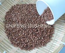 Chinese Roasted Buckwheat Kernels, 2014 new Crop,