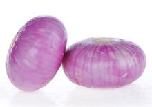 fresh  Onion 