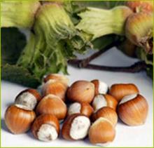 100% Organic Hazelnuts