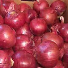 Red onion