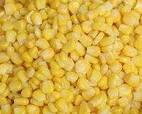  Fresh   Corn 