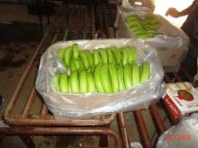 fresh bananas