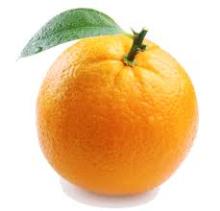  orange s  navel 