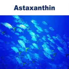 natural  astaxanthin  5% oil suspension