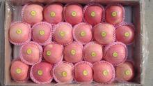 2012 fresh fuji apples