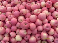 fuji apples from china