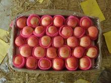 chinese apples price