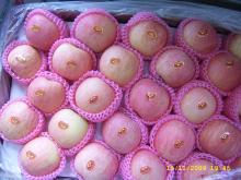 chinese fresh new apple
