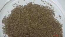 cumin seeds, lumpin seeds, yellow corn