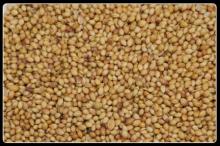 corianda seeds, wheat bran, feed barley